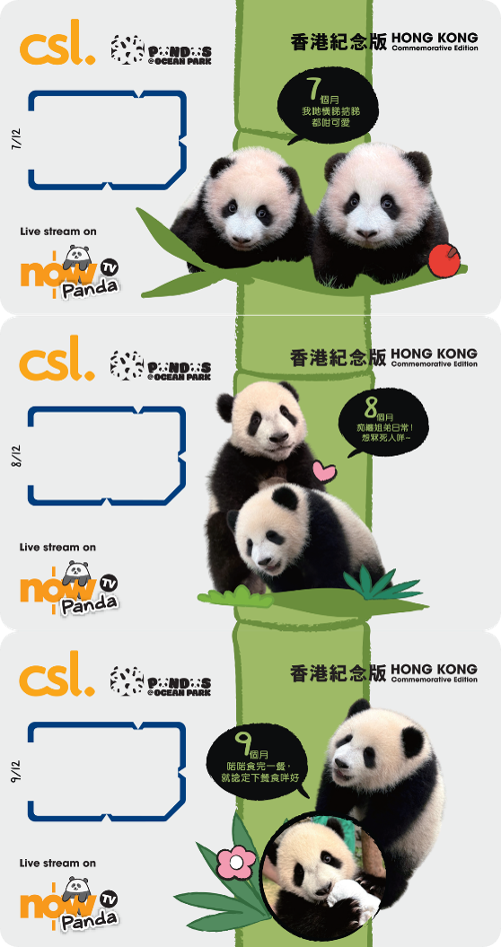 5G Panda Hong Kong edition 12 SIM cards Box Set, , large image number 3
