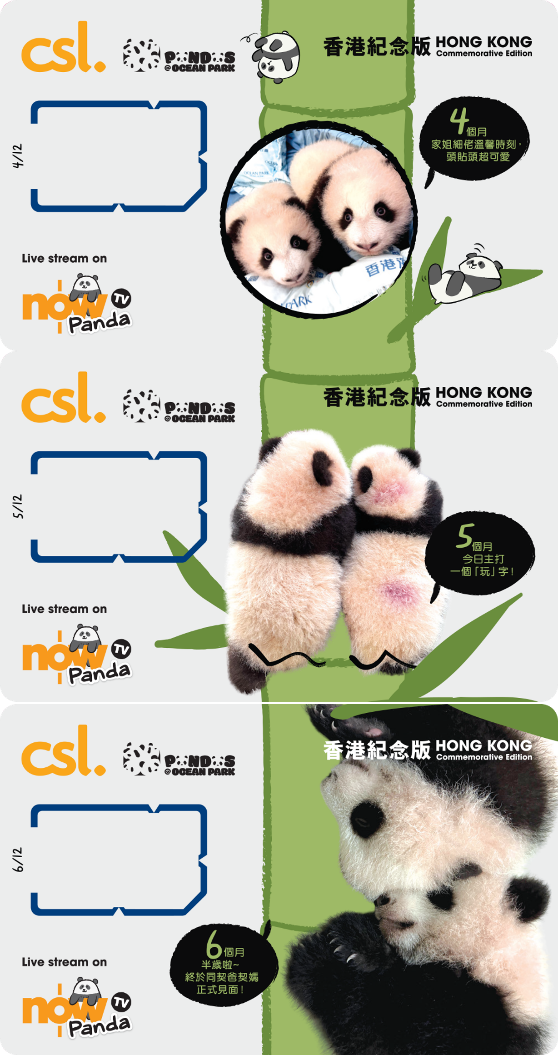 5G Panda Hong Kong edition 12 SIM cards Box Set, , large image number 2
