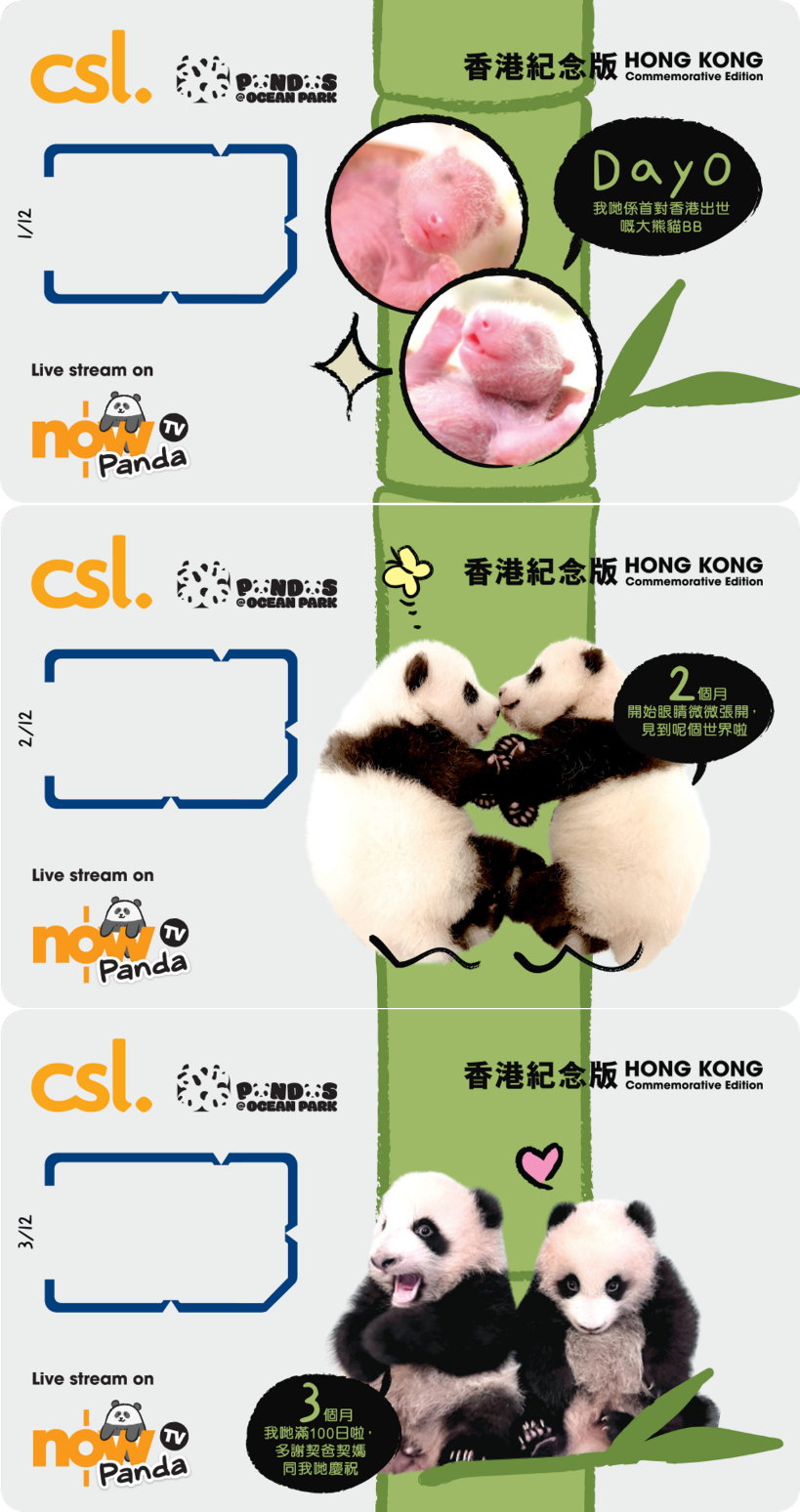 5G Panda Hong Kong edition 12 SIM cards Box Set, , large image number 1