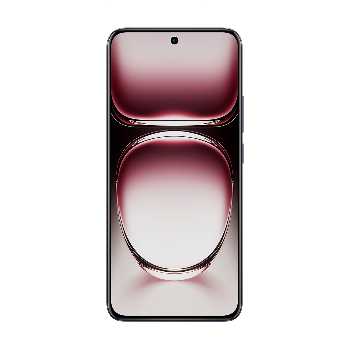 OPPO Reno12 Pro 5G image number 1