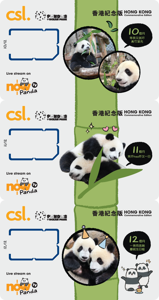 5G Panda Hong Kong edition 12 SIM cards Box Set, , large image number 4