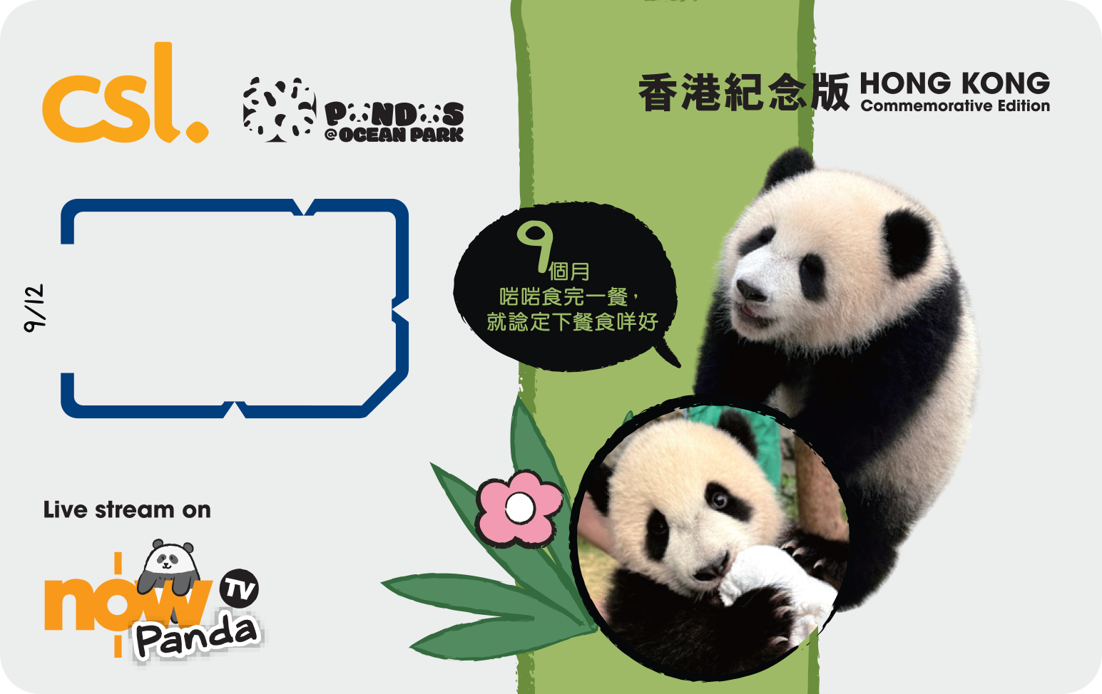 5G 「海洋公園大熊貓」香港紀念版電話卡 (9個月)