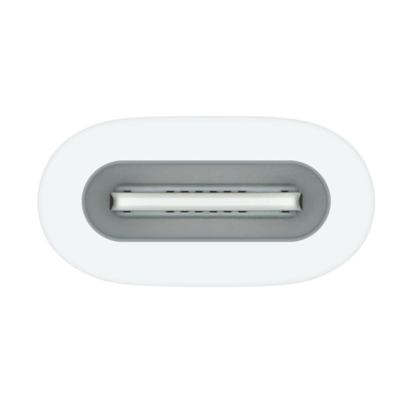 Apple USB-C 至 Apple Pencil 轉換器 image number 1